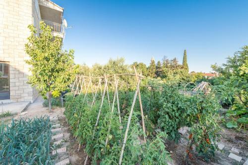 Barun Apartments Kastela