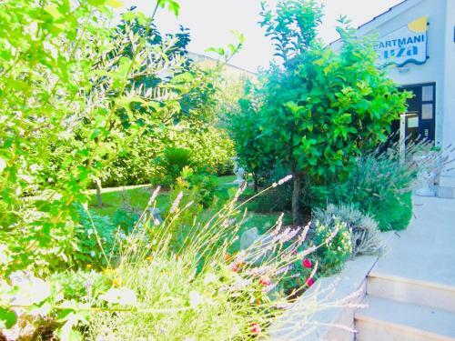 Apartments Ruza