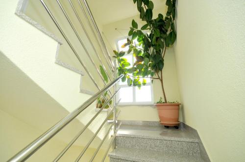 Apartamentos Villa Dra?ko