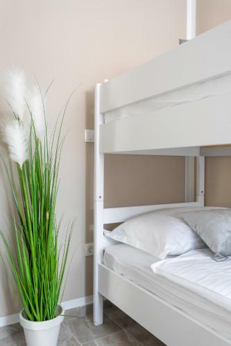 Apartamento Villa Nicolina