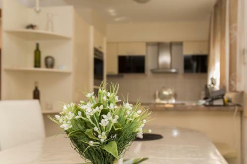 Apartamento Villa Curic