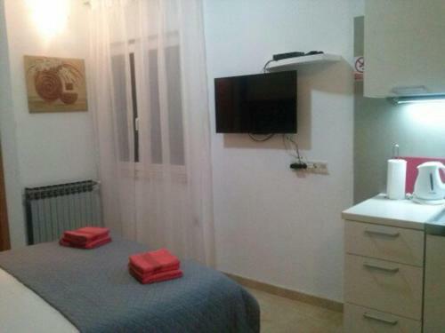 Apartment Mala Pla?a