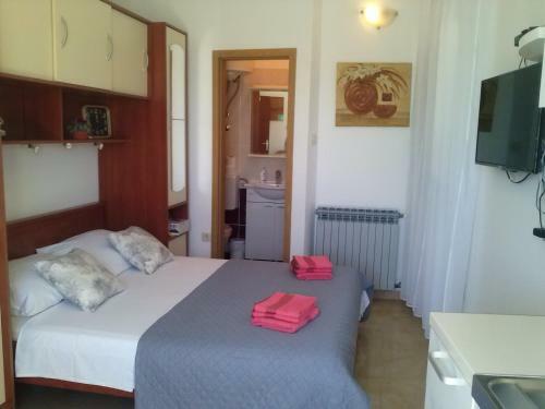 Apartment Mala Pla?a
