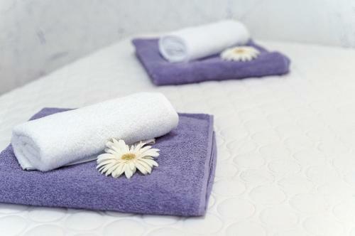 Studio Apartman Harmony