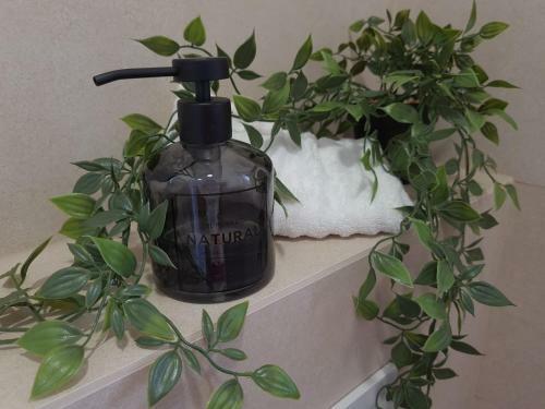 Apartamento Villa Sobin