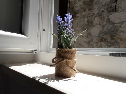 Studio Apartman Dvor