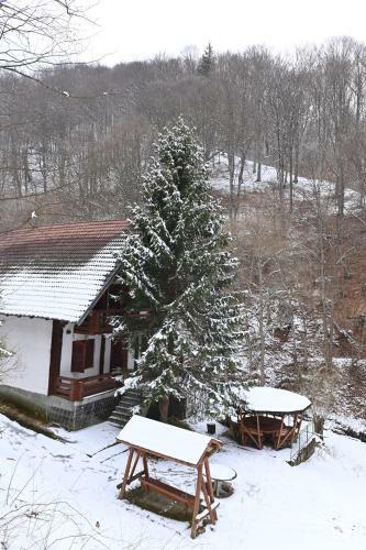 Cabana Satic Piatra Craiului La Doi Viermi