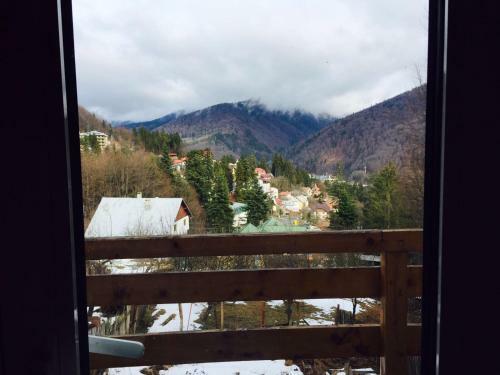 Villa Vila Sinaia Private