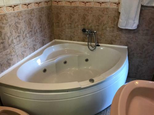 Villa Vila Sinaia Private
