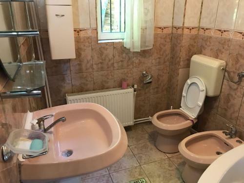 Villa Vila Sinaia Private