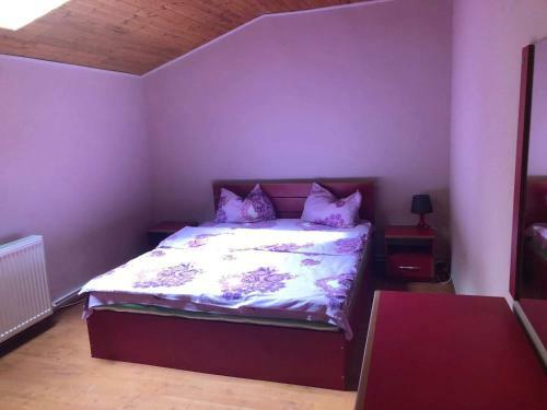 Villa Vila Sinaia Private