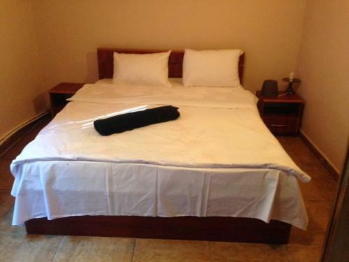 Villa Vila Sinaia Private