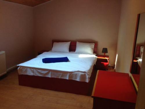 Villa Vila Sinaia Private