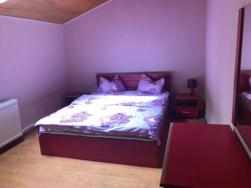 Villa Vila Sinaia Private