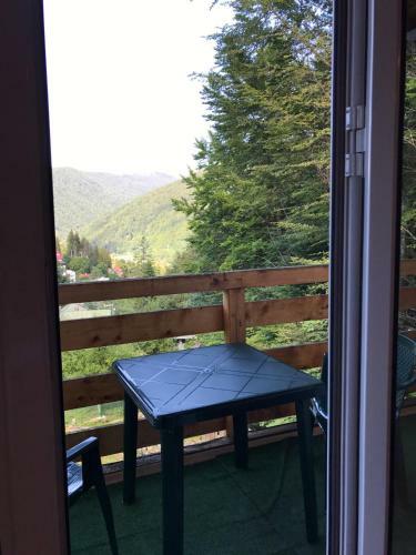 Villa Vila Sinaia Private