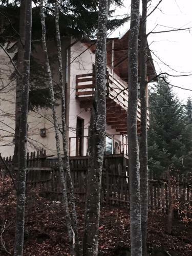 Villa Vila Sinaia Private