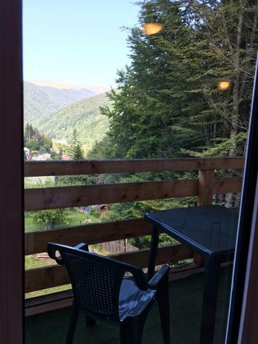 Villa Vila Sinaia Private