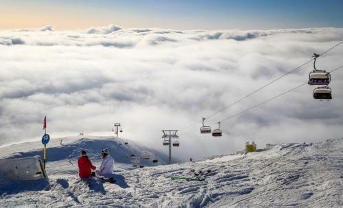 Apartamento Mountain View Nest