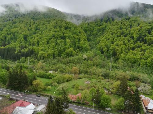Sinaia Q Marie Apartment