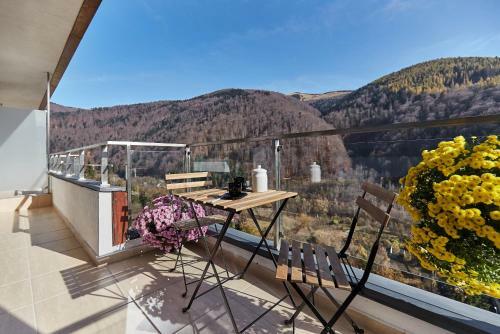 Sinaia Q Marie Apartment