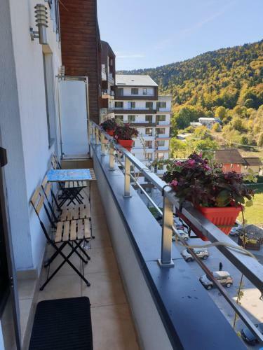 Sophie Apartament