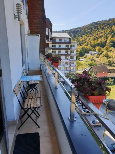 Sophie Apartament