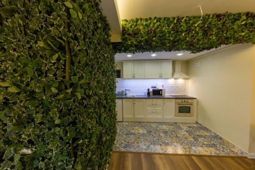 Apartament Carol Sinaia
