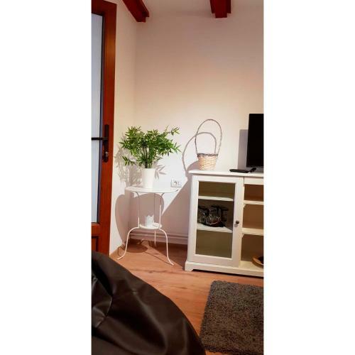 Vaso Apartament