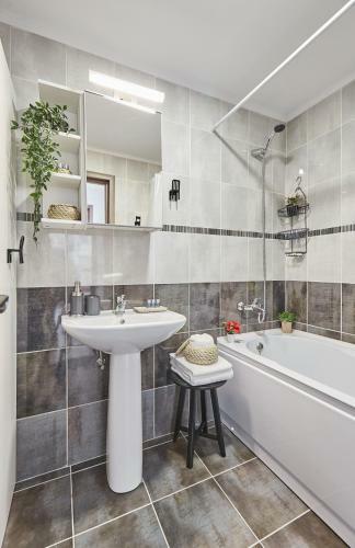 George Apartment Sinaia