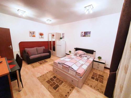Apartamento Studio Central Sinaia