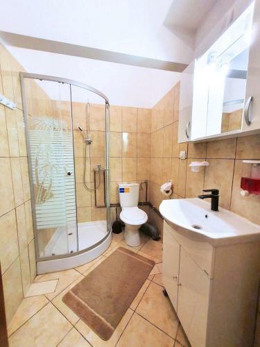 Apartamento Studio Central Sinaia
