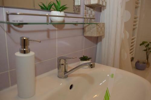 Harmony Luxury Apartments Sinaia
