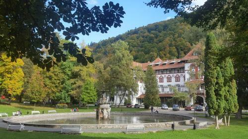 Apartamento Steaua Muntelui