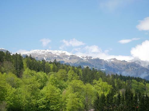 Apartamento Riky Studio, Mountain View