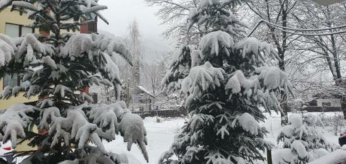 Apartamento Sinaia Relax Residence
