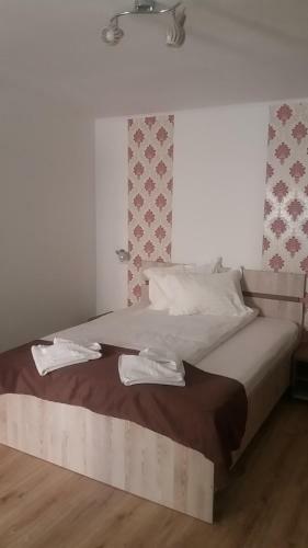 Hostal Pensiunea Argesu **