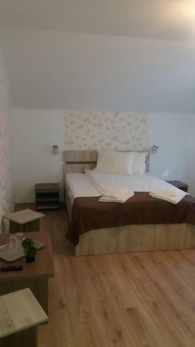 Hostal Pensiunea Argesu **