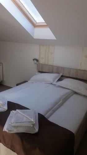 Hostal Pensiunea Argesu **