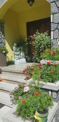 Hostal Casa Galbena