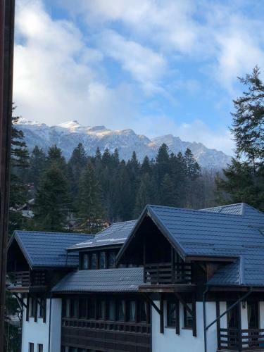 Still Apartament Sinaia