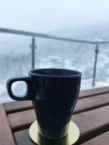 Velvet Apartament Sinaia