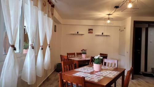 Hostal Casa Shiro