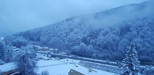 Elite Apartments Sinaia