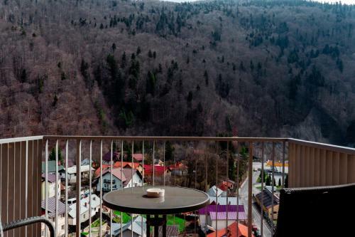Elite Apartments Sinaia