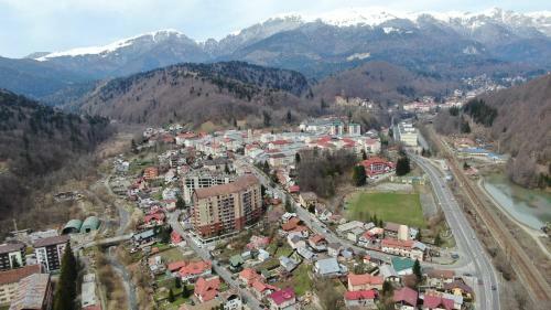 Elite Apartments Sinaia