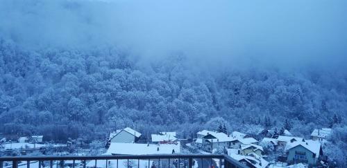 Elite Apartments Sinaia