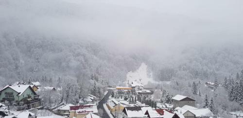 Elite Apartments Sinaia