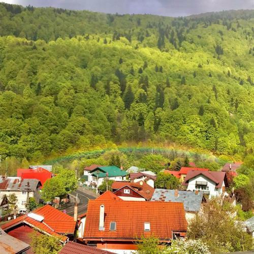 Elite Apartments Sinaia