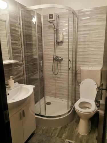 Apartament Aosta Central Sinaia