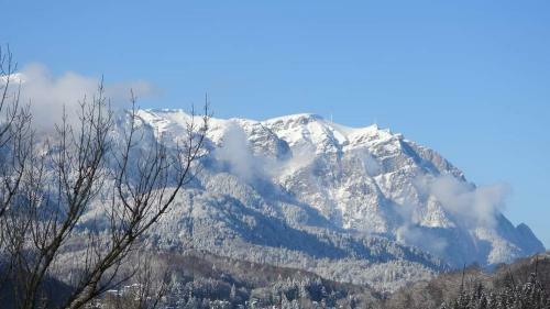 Apartamento Sinaia Alpineview Residence